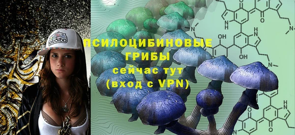 молекула духа Арсеньев