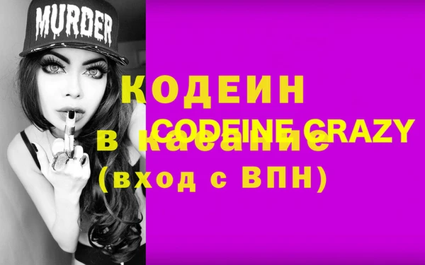 молекула духа Арсеньев
