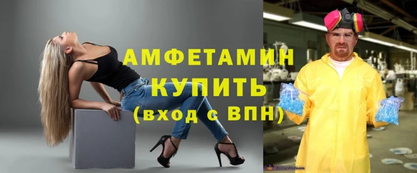 молекула духа Арсеньев