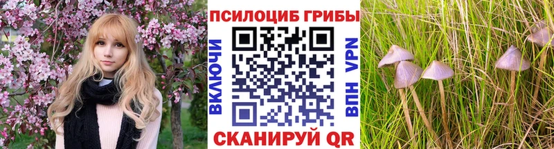 Галлюциногенные грибы мицелий  Протвино 